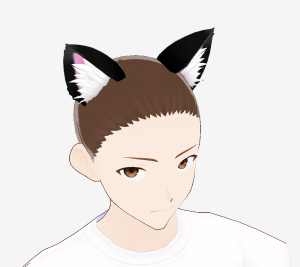 Cat Ears